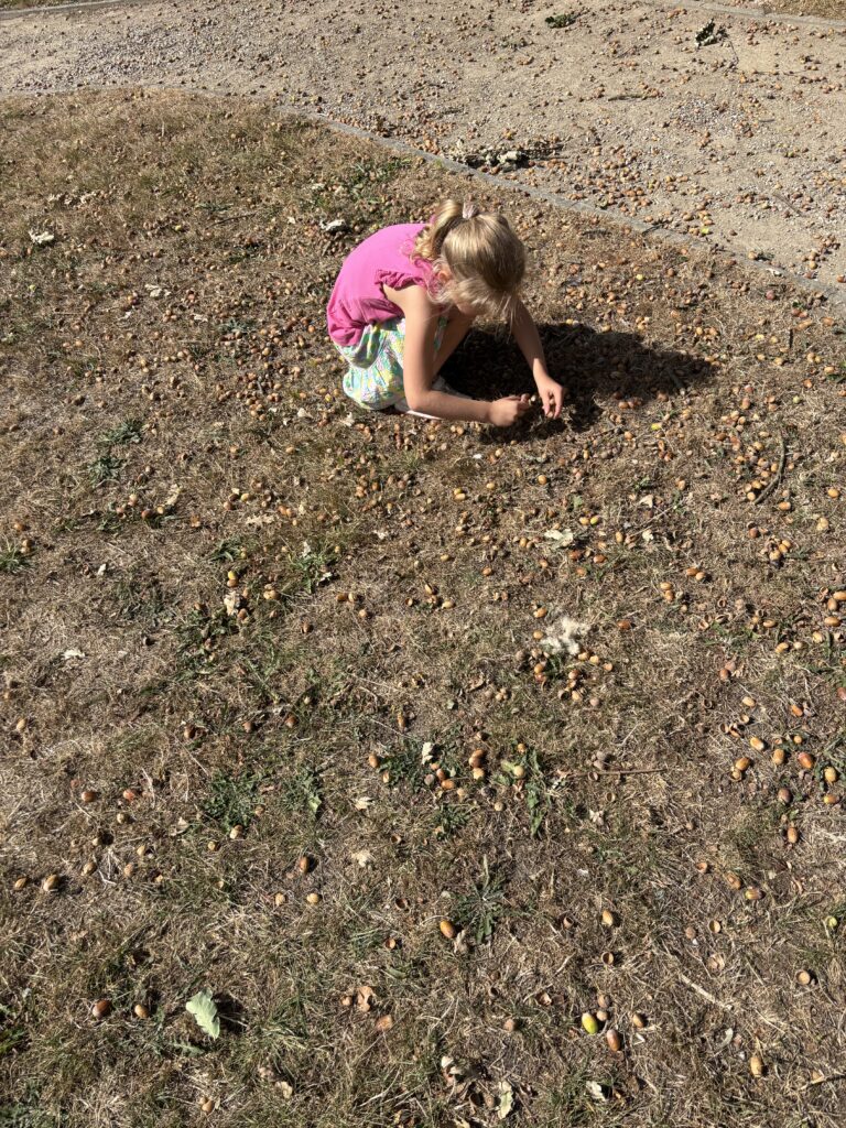 featured-image-galerij-item